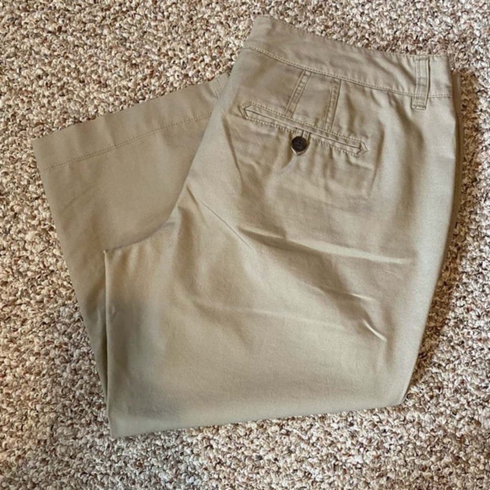 The Limited Drew Capri Pants